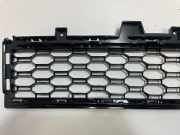 Kühlergrill unten BMW X5 (G05, F95) 8069208