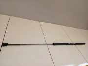 Gasfeder für Motorhaube VW Passat B7 Alltrack (36, B7) 3C0823359A