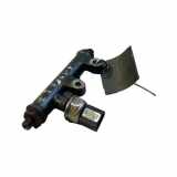 Einspritzleiste Jaguar S-Type (X200) 4R8Q9C066AE