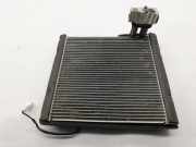 Klimaverdampfer Toyota C-HR (X1)