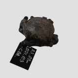 Vakuumpumpe VW TOURAN (1T3) 2.0 TDI 03L145100