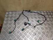 Kabelbaum Hinteren Parksensoren CHEVROLET ORLANDO (J309) 2.0 D 95968950