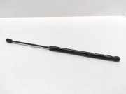 Stoßdämpfer hinten links