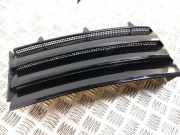 Schutzleiste Kotflügel Land Rover Range Rover Sport (L320)