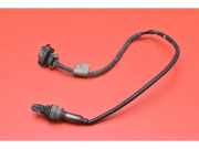 Lambdasonde Opel Astra H Kasten () 55560617