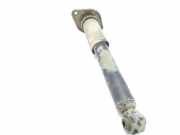 Stoßdämpfer rechts hinten Nissan Murano I (Z50)