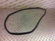 Türdichtung Lexus NX 1 ()