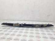 Kennzeichenbeleuchtung AUDI A8 D3 (4E2, 4E8) 3.7 quattro 4E0827576