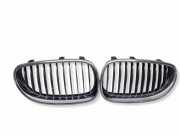 Gitter Grill vorne links BMW 5 Touring (E61) 530 d 7027062