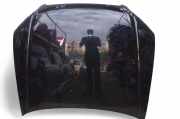 Motorhaube Audi A4 Avant (8E, B7)