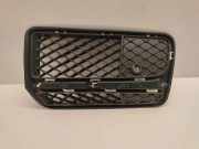 Gitter Grill vorne links MERCEDES-BENZ G (W463) G 500 (463.234) A4638855100