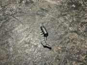 Handschuhfach MERCEDES-BENZ S (W140) S 500 (140.050, 140.051) 1406890914