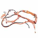 Kabelbaum Lexus IS 3 (E3) 89305W