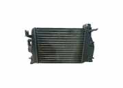 Ladeluftkühler Nissan Qashqai II (J11) 144614ED0A