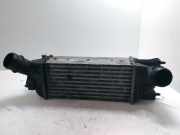 Ladeluftkühler PEUGEOT 407 SW (6E_) 2.0 HDi 135 874823NE 9645682880