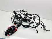 Motor Kabelbaum AUDI A6 Avant (4G5, C7, 4GD) 2.0 TDI 8K0971824AH