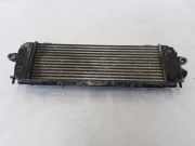 Ladeluftkühler RENAULT TRAFIC II Furgon (FL) 2.0 dCi 90 (FL0H) 8200411160