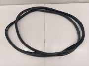 Türgummi rechts vorne MG MG ZS ()