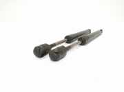 Heckklappe Gasdruckfeder rechts AUDI A6 (4F2, C6) 2.7 TDI