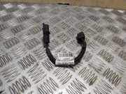 Kabelbaum Renault Master III Kasten (FV) 456546R