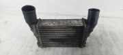 Ladeluftkühler AUDI A3 (8L1) 1.9 TDI 058145805