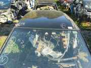 Dach AUDI A3 Limousine (8YS) 35 TFSI Mild Hybrid