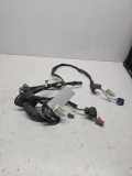 Kabel der vorderen linken Tür RENAULT MEGANE II (BM0/1_, CM0/1_) 1.5 dCi (BM0F, CM0F) 8200124896