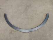 Front Arch Liner LAND ROVER RANGE ROVER EVOQUE Cabrio (L538) 2.0 D 4x4 BJ3216A074AC