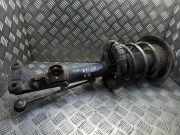 Stoßdämpfer vorne rechts MERCEDES-BENZ C (W203) C 200 CDI (203.004) 824904001369