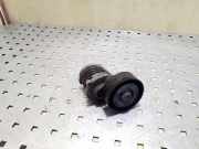 Riemenspanner AUDI A4 (8EC, B7) 2.0 TDI 038903315AH