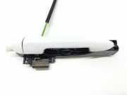 Türaußengriff hinten links