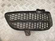 Gitter Grill vorne rechts VW TOUAREG (7LA, 7L6, 7L7) 3.0 V6 TDI 7L6853666B