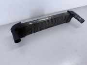 Kühlerluftumlenker LAND ROVER FREELANDER (L314) 2.0 Td4 4x4