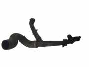 Andere Röhren CITROËN C4 Grand Picasso I (UA_) 2.0 HDi 138