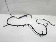 Kabelbaum Vorderen Parksensoren PEUGEOT 208 II (UB_, UP_, UW_, UJ_) e-208 9834131880