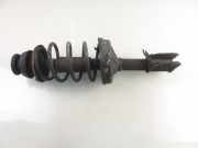 Stoßdämpfer vorne links RENAULT CLIO II (BB0/1/2_, CB0/1/2_) 1.2 16V (BB05, BB0W, BB11, BB27, BB2T, BB2U, BB2V, CB05,...