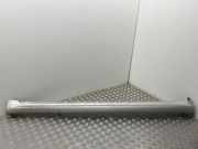 Linker Schweller MERCEDES-BENZ A (W169) A 180 CDI (169.007, 169.307)