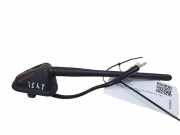Antenne Dach Citroen C-Crosser (VU, VV)