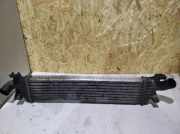 Ladeluftkühler VOLVO S40 II (MS) 2.0 D 4N5H9L440VF