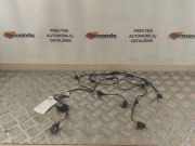 Kabelbaum Jaguar X-Type (X400) 9X4315K868