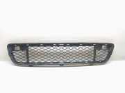 Gitter vorne unten BMW X5 (E70) xDrive 30 d