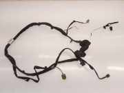 Kabel Tür vorne rechts RENAULT CLIO III (BR0/1, CR0/1) 1.5 dCi (C/BR0G, C/BR1G) 8200504550F
