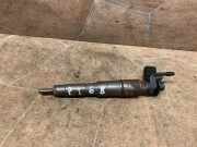 Düsenstöcke BMW X5 (E70) 780808901