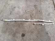 SRS Modul Dach links AUDI A4 (8EC, B7) 2.0 TDI 048UIC116J1E BAMPT11077