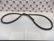 Türgummi rechts vorne BMW 6er Coupe (F13) 7221326