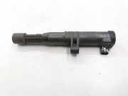Zündspule RENAULT CLIO II (BB0/1/2_, CB0/1/2_) 1.4 16V (B/CB0P) 7700875000 0297008291