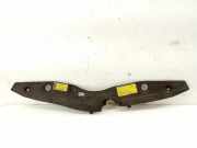 Anzeigetafel Rahmen TOYOTA PRIUS (_W3_) 1.8 Hybrid (ZVW3_) 53289-47032