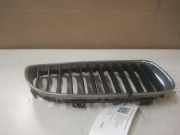 Vorderer oberer Gitter BMW 3 Touring (E91) 318 d