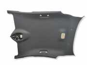 Dachverkleidung CITROËN DS4 1.2 THP 130 96767530