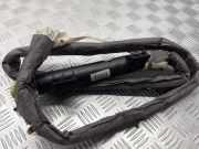 Airbag Dach rechts Renault Laguna II (G) 8200281641